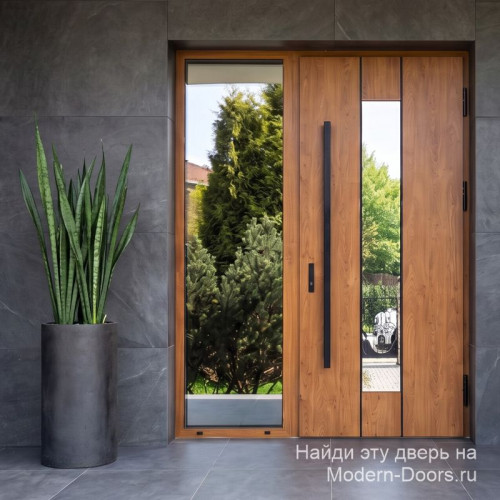 Парадная входная группа FUTURA GTS61150AB