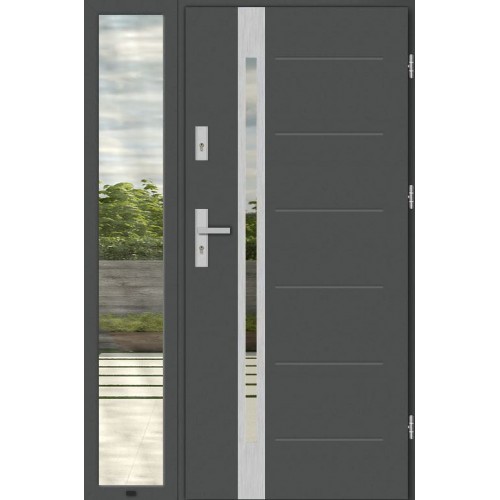 Дверь входная с боковым окном REGINA TS5461KI
